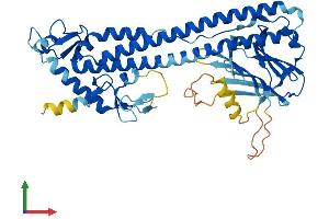 AlphaFold protein structure predicition of Human Recombinant TRIM49 Protein, UniprotID P0CI25