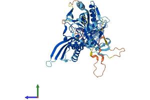 AlphaFold protein structure predicition of Mouse Recombinant Fdxacb1 Protein, UniprotID Q3UY23