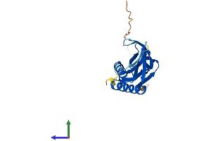 AlphaFold protein structure predicition of Mouse Recombinant Mocs2 Protein, UniprotID Q9Z223