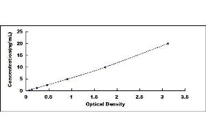 Typical standard curve