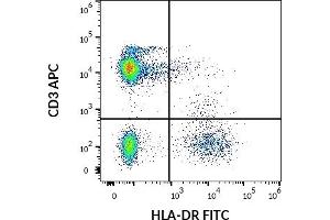 Flow cytometry multicolor surface staining pattern of human lymphocytes using anti-human HLA-DR (MEM-12) FITC antibody (20 μL reagent / 100 μL of peripheral whole blood) and anti-human CD3 (UCHT1) APC antibody (10 μL reagent / 100 μL of peripheral whole blood). (HLA-DR anticorps  (FITC))