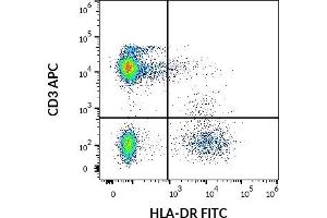 Flow cytometry multicolor surface staining pattern of human lymphocytes using anti-human HLA-DR (MEM-12) FITC antibody (20 μL reagent / 100 μL of peripheral whole blood) and anti-human CD3 (UCHT1) APC antibody (10 μL reagent / 100 μL of peripheral whole blood).