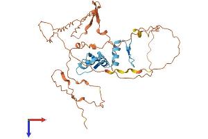 AlphaFold protein structure predicition of Mouse Recombinant Klf8 Protein, UniprotID Q8BLM0
