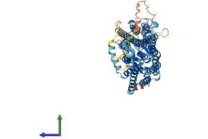 AlphaFold protein structure predicition of Mouse Recombinant Slco2a1 Protein, UniprotID Q9EPT5
