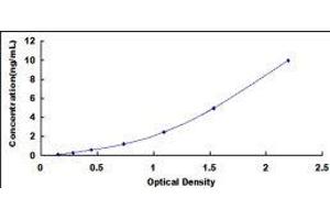 Glycosylphosphatidylinositol Anchored Molecule Like Protein (GML) ELISA Kit