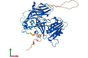 AlphaFold protein structure predicition of Mouse Recombinant Cyb5r4 Protein, UniprotID Q3TDX8