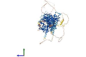 AlphaFold protein structure predicition of Human Recombinant KCNMA1 Protein, UniprotID Q12791