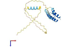 AlphaFold protein structure predicition of Human Recombinant CT45A7 Protein, UniprotID P0DMV0