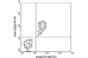 Flow Cytometry (FACS) image for anti-CD22 Molecule (CD22) antibody (PE) (ABIN370869) (CD22 anticorps  (PE))
