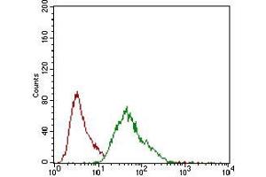 Flow cytometric analysis of MCF-7 cells using MCAM mouse mAb (green) and negative control (red). (MCAM anticorps  (AA 84-189))