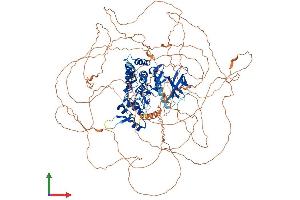AlphaFold protein structure predicition of Mouse Recombinant Hipk3 Protein, UniprotID Q9ERH7