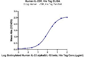 Immobilized Human IL-23R, His Tag at 5 μg/mL (100 μL/well) on the plate.