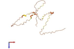AlphaFold protein structure predicition of Human Recombinant LINC00304 Protein, UniprotID Q8N9R0