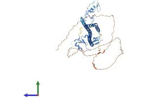 AlphaFold protein structure predicition of Human Recombinant TRIM8 Protein, UniprotID Q9BZR9