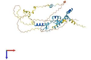 AlphaFold protein structure predicition of Human Recombinant FAM47E Protein, UniprotID Q6ZV65