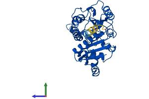 AlphaFold protein structure predicition of Mouse Recombinant Gnpda1 Protein, UniprotID O88958