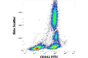 Flow cytometry surface staining pattern of human peripheral whole blood stained using anti-human CD162 (TC2) FITC antibody (20 μL reagent / 100 μL of peripheral whole blood). (SELPLG anticorps  (FITC))