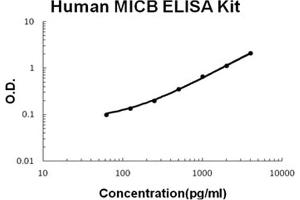 Human MICB Accusignal ELISA Kit Human MICB AccuSignal ELISA Kit standard curve. (MICB Kit ELISA)