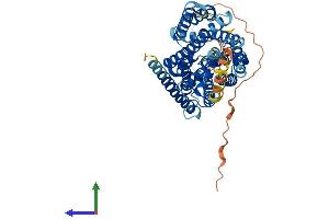AlphaFold protein structure predicition of Mouse Recombinant Slc38a2 Protein, UniprotID Q8CFE6