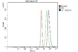 Flow Cytometry analysis of Neuro-2a cells using anti-splicing factor 1 antibody (ABIN7600193). (Splicing Factor 1 anticorps  (AA 160-266))