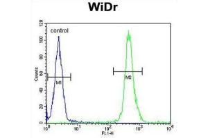 Flow Cytometry (FACS) image for anti-Vacuolar Protein Sorting-Associated Protein 26A (VPS26A) antibody (ABIN3003886)