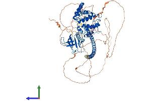 AlphaFold protein structure predicition of Mouse Recombinant Arhgap24 Protein, UniprotID Q8C4V1