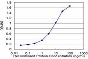 Detection limit for recombinant GST tagged BCR is approximately 0.