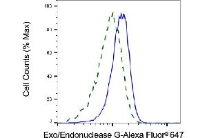 Validation of Exo/Endonuclease G knockdown using flow cytometry. (Recombinant EXOG anticorps)