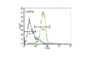 GATA4 Antibody (C-term) (ABIN388153 and ABIN2846917) flow cytometric analysis of HepG2 cells (right histogram) compared to a negative control cell (left histogram).