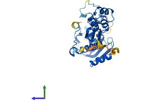 AlphaFold protein structure predicition of Mouse Recombinant Rnaseh2a Protein, UniprotID Q9CWY8