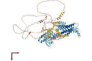 AlphaFold protein structure predicition of Human Recombinant PHTF2 Protein, UniprotID Q8N3S3