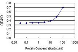 Sandwich ELISA detection sensitivity ranging from 10 ng/mL to 100 ng/mL. (IFNAR1 (Humain) Matched Antibody Pair)