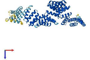 AlphaFold protein structure predicition of Human Recombinant TTC6 Protein, UniprotID Q86TZ1
