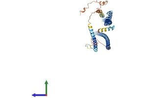 AlphaFold protein structure predicition of Human Recombinant RILPL1 Protein, UniprotID Q5EBL4