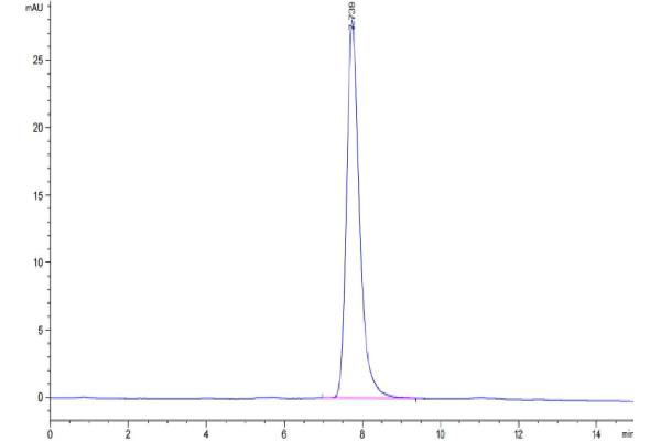 PLXDC2 Protein (AA 31-454) (His tag)