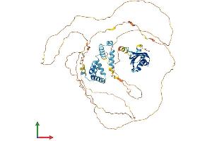 AlphaFold protein structure predicition of Human Recombinant CSTF2T Protein, UniprotID Q9H0L4