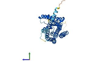 AlphaFold protein structure predicition of Human Recombinant OR5D14 Protein, UniprotID Q8NGL3 (OR5D14 Protein (AA 1-314) (His tag))