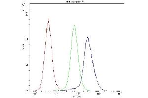 anti-Insulin-Degrading Enzyme (IDE) (AA 485-756) antibody