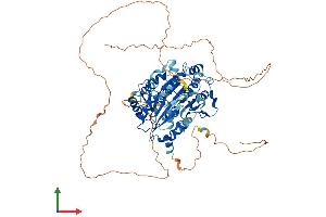 AlphaFold protein structure predicition of Mouse Recombinant Ddx4 Protein, UniprotID Q61496