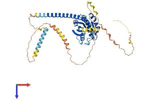 AlphaFold protein structure predicition of Mouse Recombinant Arl13b Protein, UniprotID Q640N2