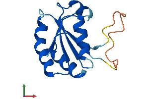 AlphaFold protein structure predicition of Human Recombinant TXNDC8 Protein, UniprotID Q6A555