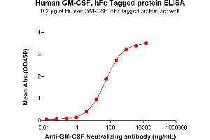 ELISA plate pre-coated by 2 μg/mL (100 μL/well) Human GM-CSF Protein, hFc Tag (ABIN7092727, ABIN7272292 and ABIN7272293) can bind Anti-GM-CSF Neutralizing antibody ABIN7478022 and ABIN7490990 in a linear range of 0.