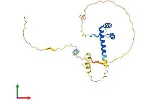 AlphaFold protein structure predicition of Mouse Recombinant Nkx3-1 Protein, UniprotID P97436