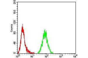 Flow cytometric analysis of Hela cells using TUBB3 mouse mAb (green) and negative control (red). (TUBB3 anticorps)