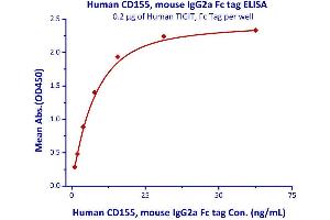 Measured by its binding ability in a functional ELISA.