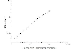 Typical standard curve (Alpha-amylase 1 Kit ELISA)