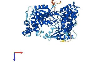 AlphaFold protein structure predicition of Mouse Recombinant Gnpat Protein, UniprotID P98192