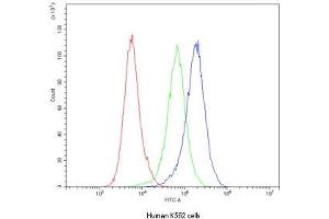 Flow cytometry testing of human K562 cells with Caspase-3 antibody at 1ug/10^6 cells (blocked with goat sera)