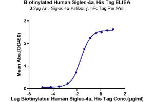 Immobilized Anti-Siglec-4a Antibody at 2 μg/mL (100 μL/well) on the plate.