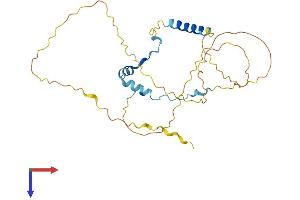 AlphaFold protein structure predicition of Human Recombinant CCDC117 Protein, UniprotID Q8IWD4